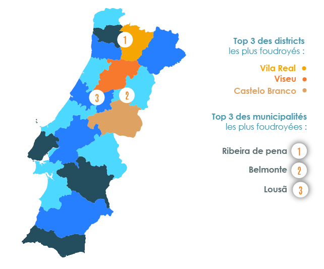 Les zones les plus foudroyées - Bilan de foudroiement Portugal - 1er semestre 2021